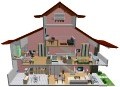 3D Architectural Section, Exterior and Interior, 3D House Rendering